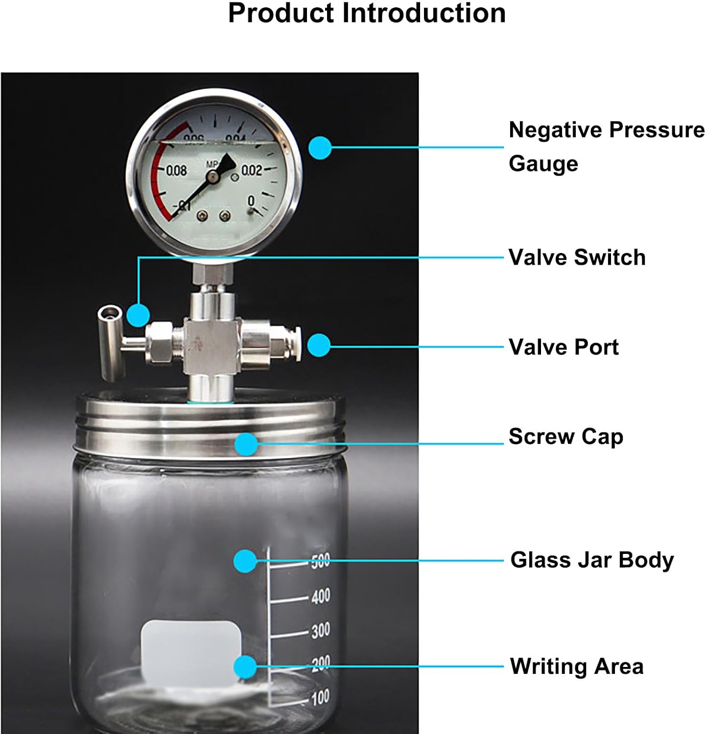 Lab Mini Vacuum Canister - Portable Glass Vacuum Chamber, Sample Preservation Container with Pressure Gauge