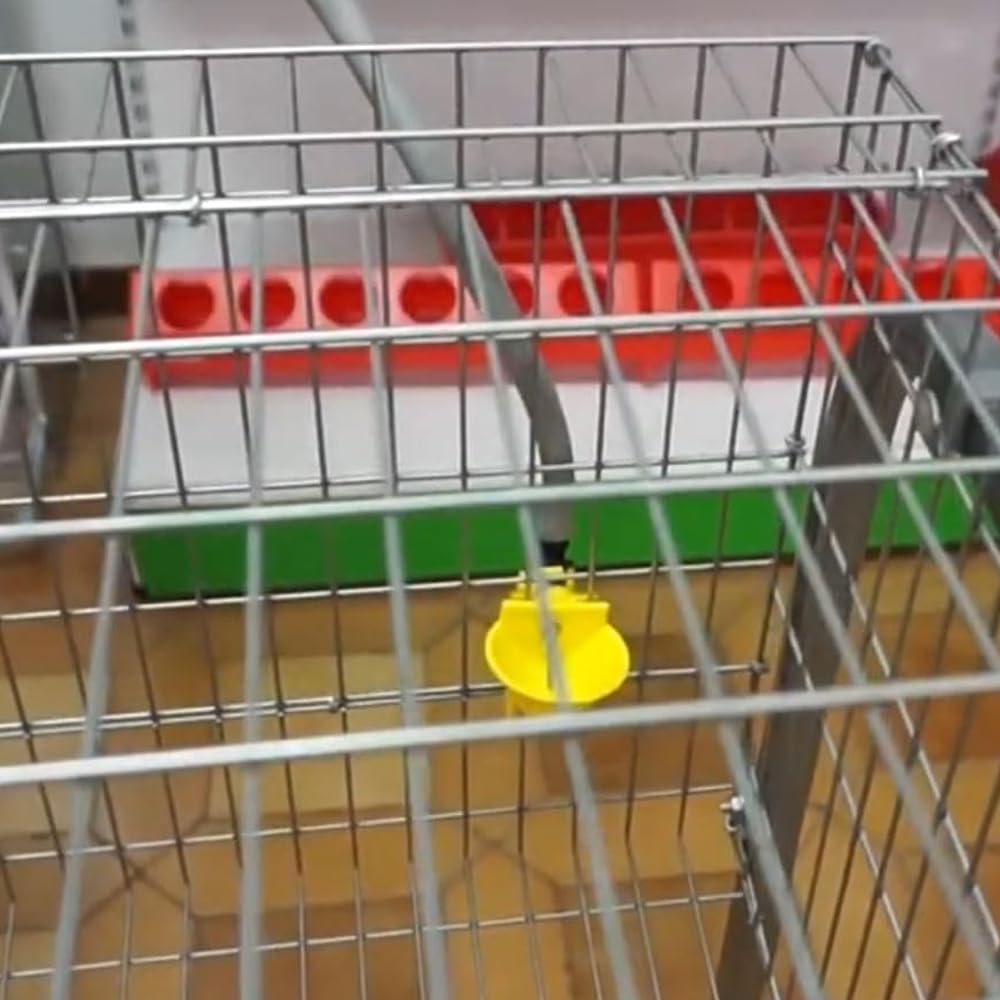 Abbeveratoio automatico per galline e perdici | Confezione da 5 | Collegamento a serbatoio d'acqua | Fissaggio in gabbia | Per pollame, polli, anatre