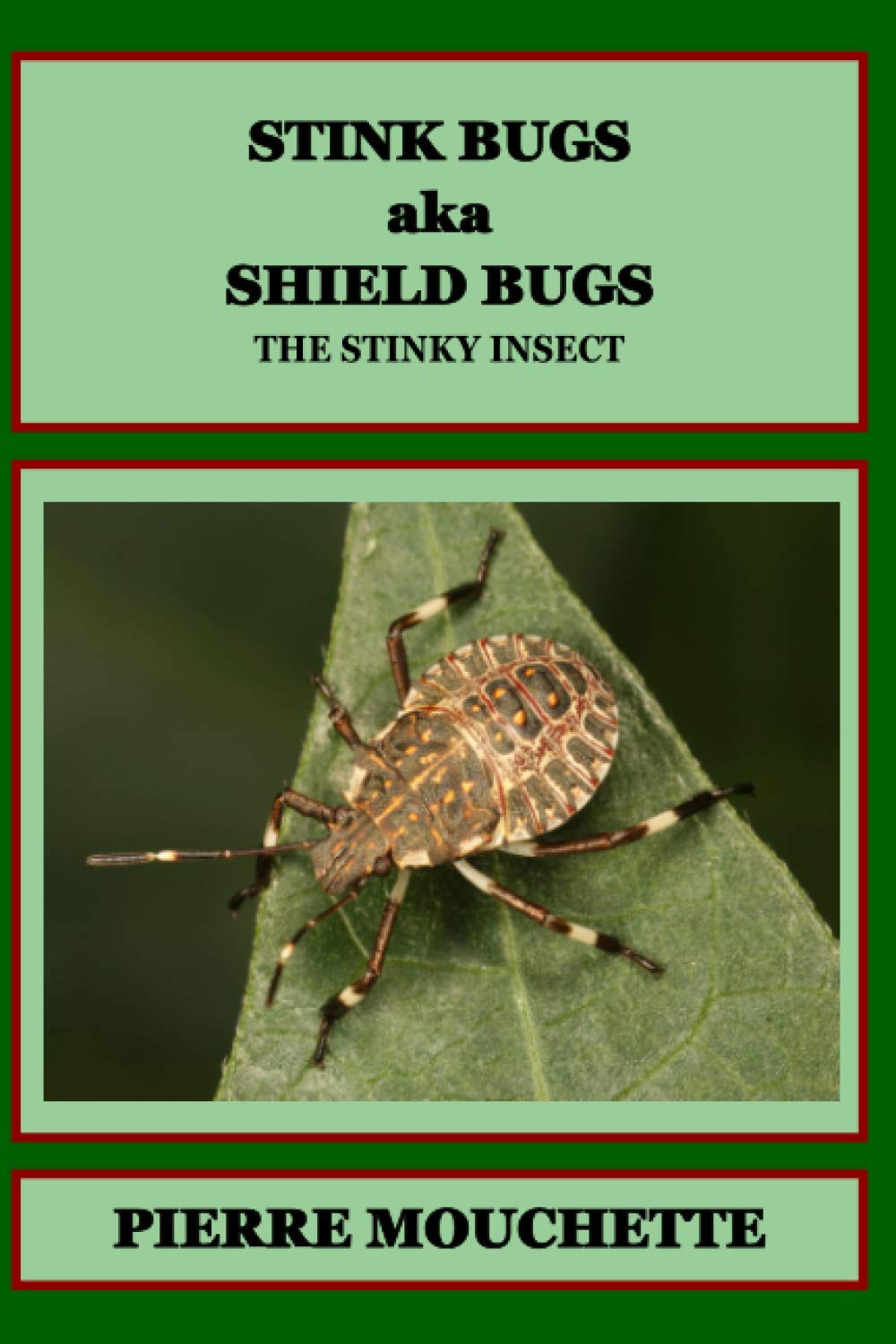 STINK BUGS aka SHIELD BUGS: The Stinky Insect