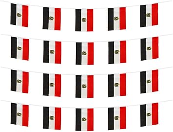 Egypt Banner Flag String, Egypt Mini Flag Small Banner, for Party, Shops and Bars Decorations, And International Day Celebrations. Egypt