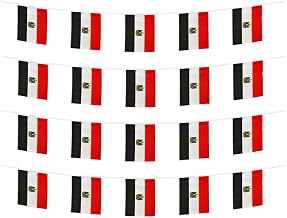 Egypt Banner Flag String, Egypt Mini Flag Small Banner, for Party, Shops and Bars Decorations, And International Day Celebrations. (Egypt)