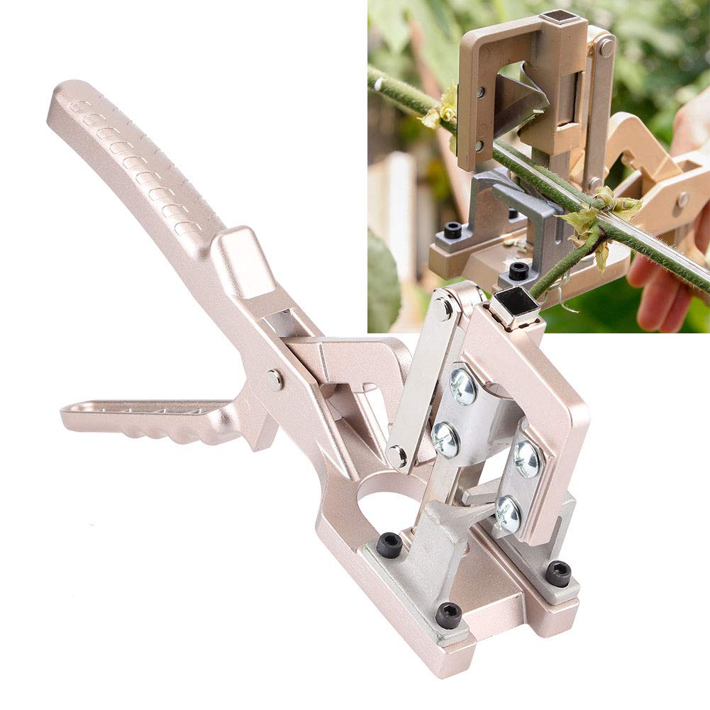 Greffoir avec Couteaux en V, Outil de Greffage pour Jardinage