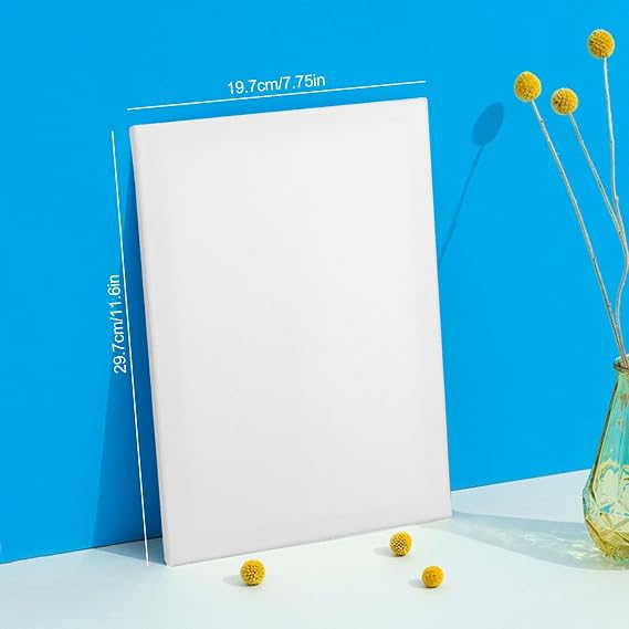XTDMJ 20x30cm Canvas for Painting, 4 Pack Stretched Canvases for Adults, Acrylics & Oils Painting