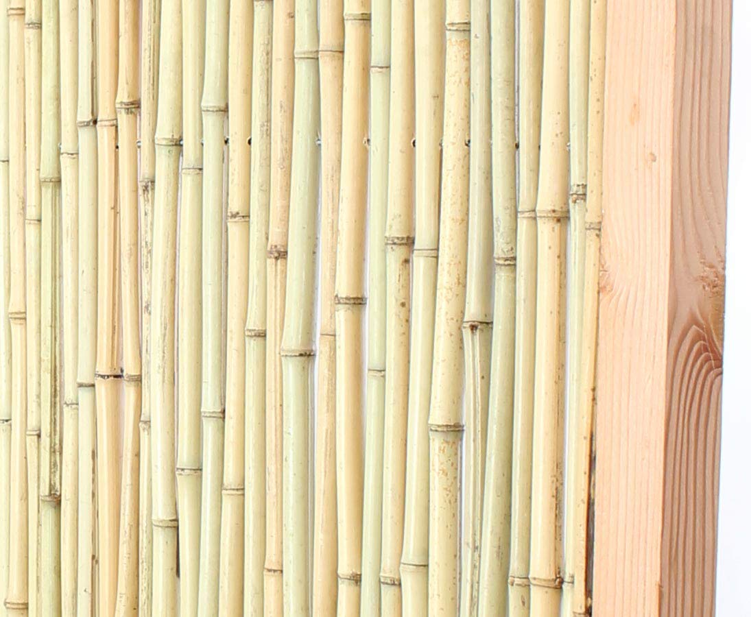 Bambuszaun mit 180x180cm im Holzrahmen hell, "KohSamui" Premium Produkt - Sichtschutzwand aus Bambusstäben 1,8m x 1,8m