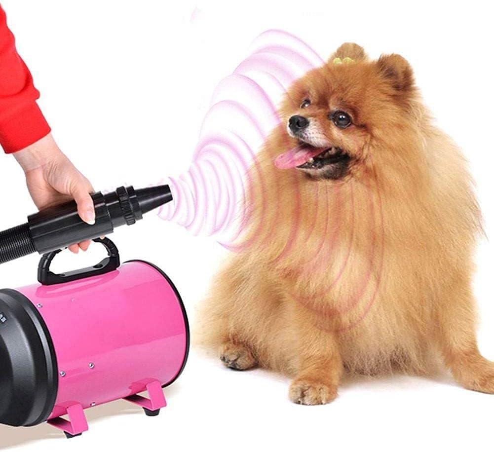 Pet Water Blowing Machine Large Dog Special Hair Dryer High Power Silent Cat Golden (Color :)