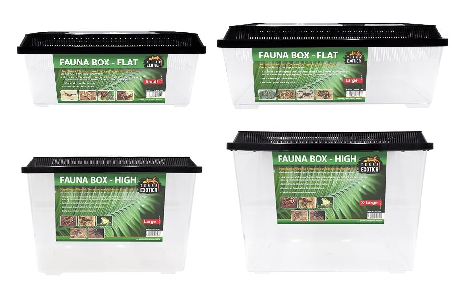 Terra Exotica Fauna Box Flat (Large, Small) oder Fauna Box High (Large, X-Large) - Transportbox für Reptilien, Amphibien,Mäuse - Kunststoffterrarium/Zuchtbox für Insekten (High, Large)