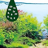 Tetra B08W59Z8L9 lato 4