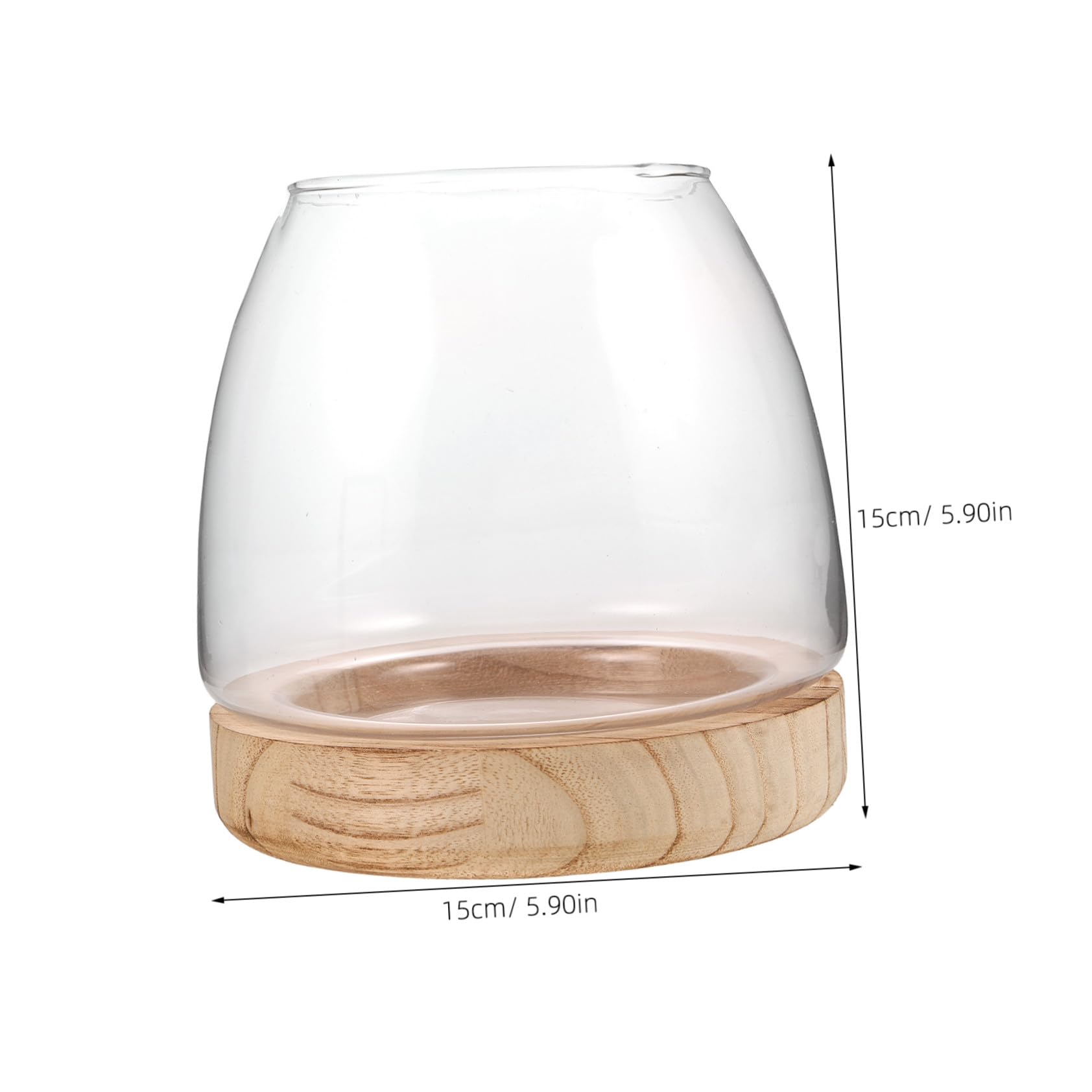 Vase Hydroponique en Verre avec Base en Bois pour Boutures