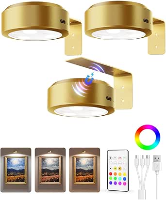 EZVALO Rechargeable Picture Lights for Wall, 3 Pack