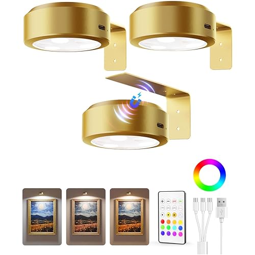 EZVALO Picture Lights for Wall, 2000mAh Rechargeable Battery Magnetic Poster Lights with 3 Color Temps & 12 RGB, Remote Dimmable Timer Painting Light, Wall Decor Light for Art Display, Frame (3 Pack)