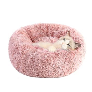 kitten beds amazon