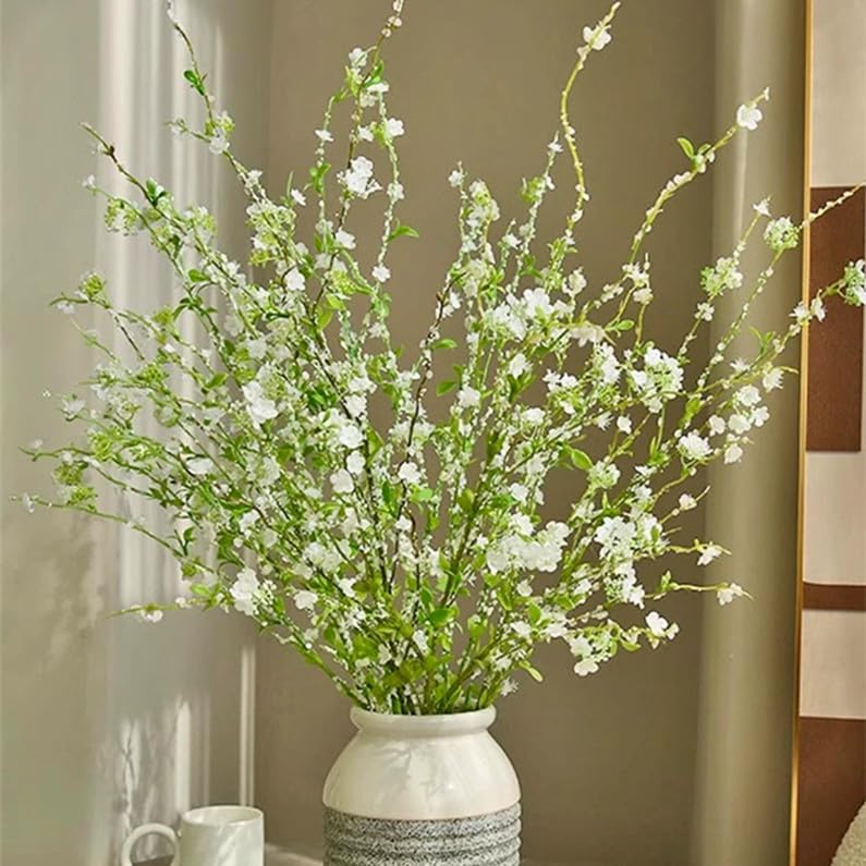 product_img5