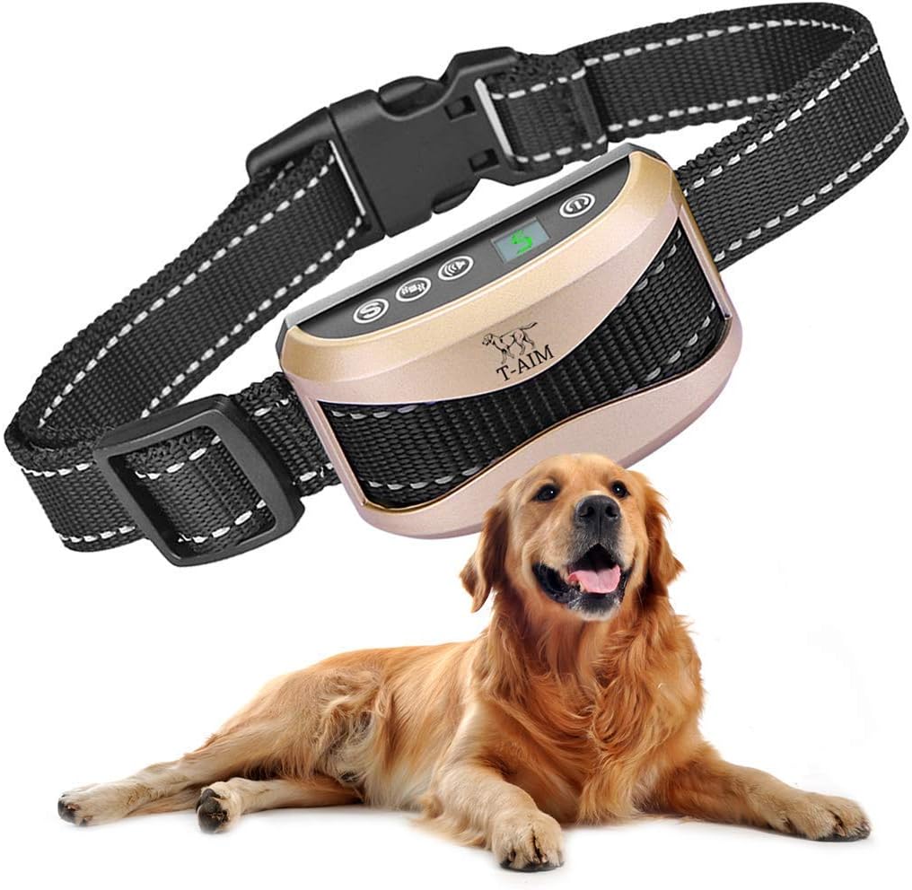 best shock collar for golden retriever