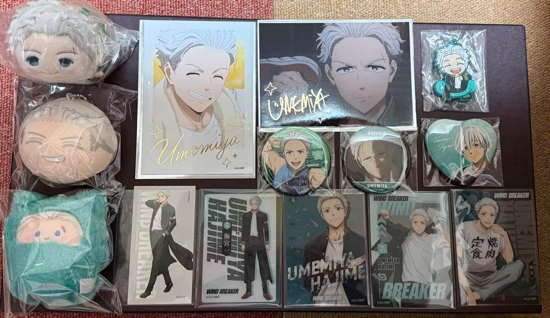 WIND BREAKER 梅宮一 缶バッジ まとめ売り WIND BREAKER ウィンブレ TSUTAYA 缶バッジ 梅宮一 - メルカリ