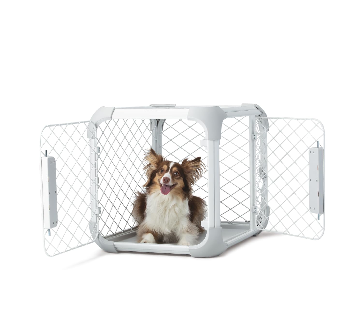 Diggs Evolv Dog Crate 