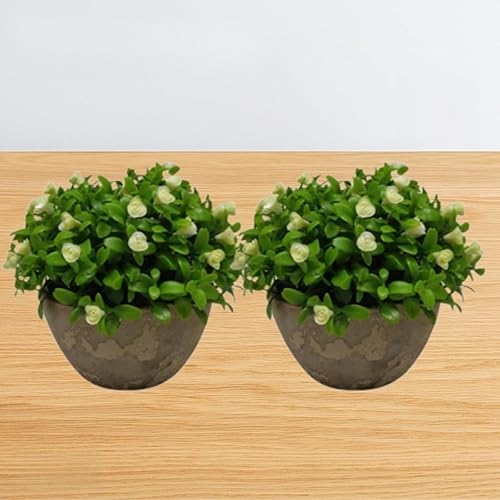 Kit 2 Vaso Planta Artificial Vasinho Arranjo Plantinha Decorativo