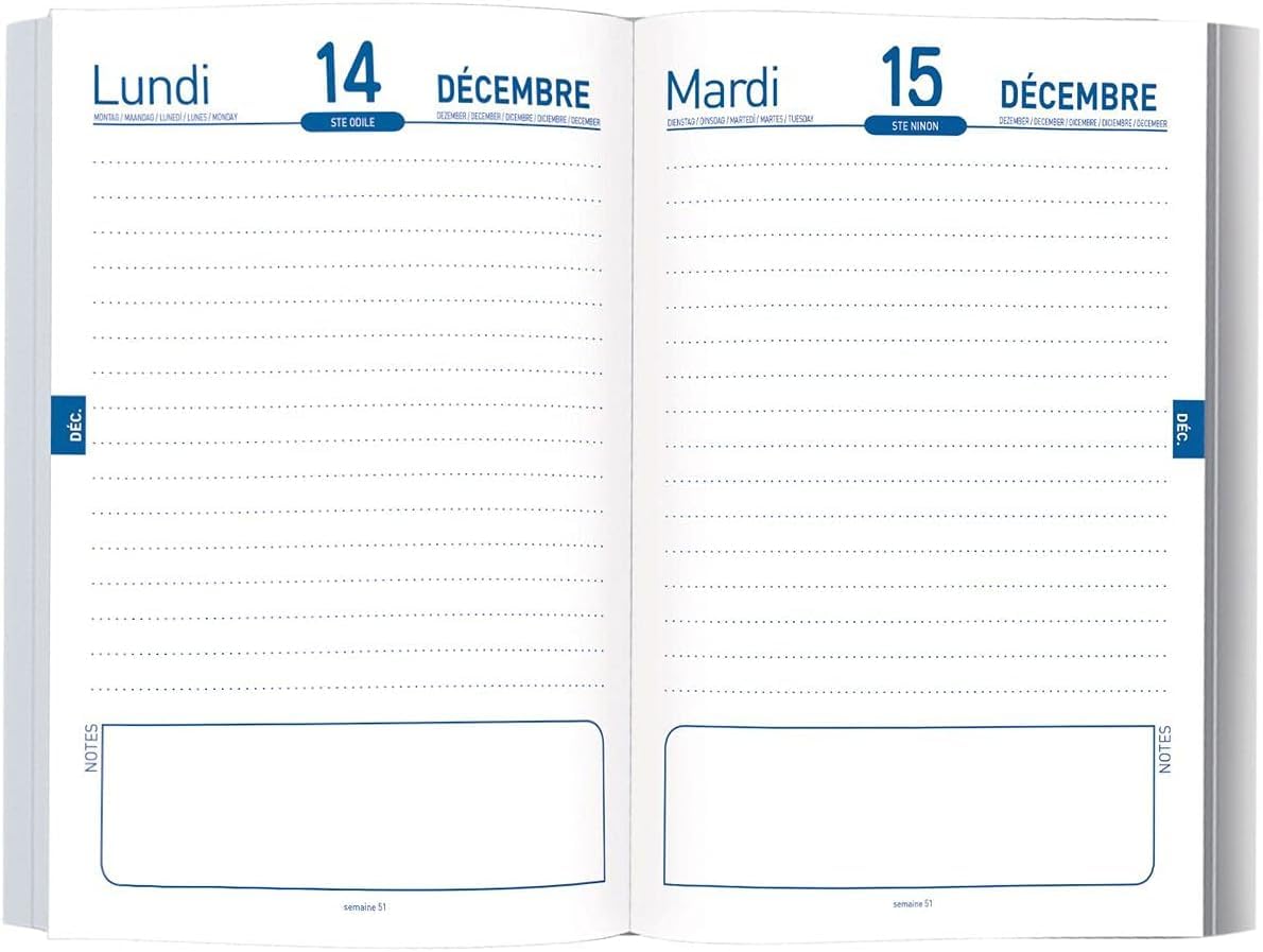 Oberthur - 1 Agenda Scolaire Journalier - Visuel Chatons Dans