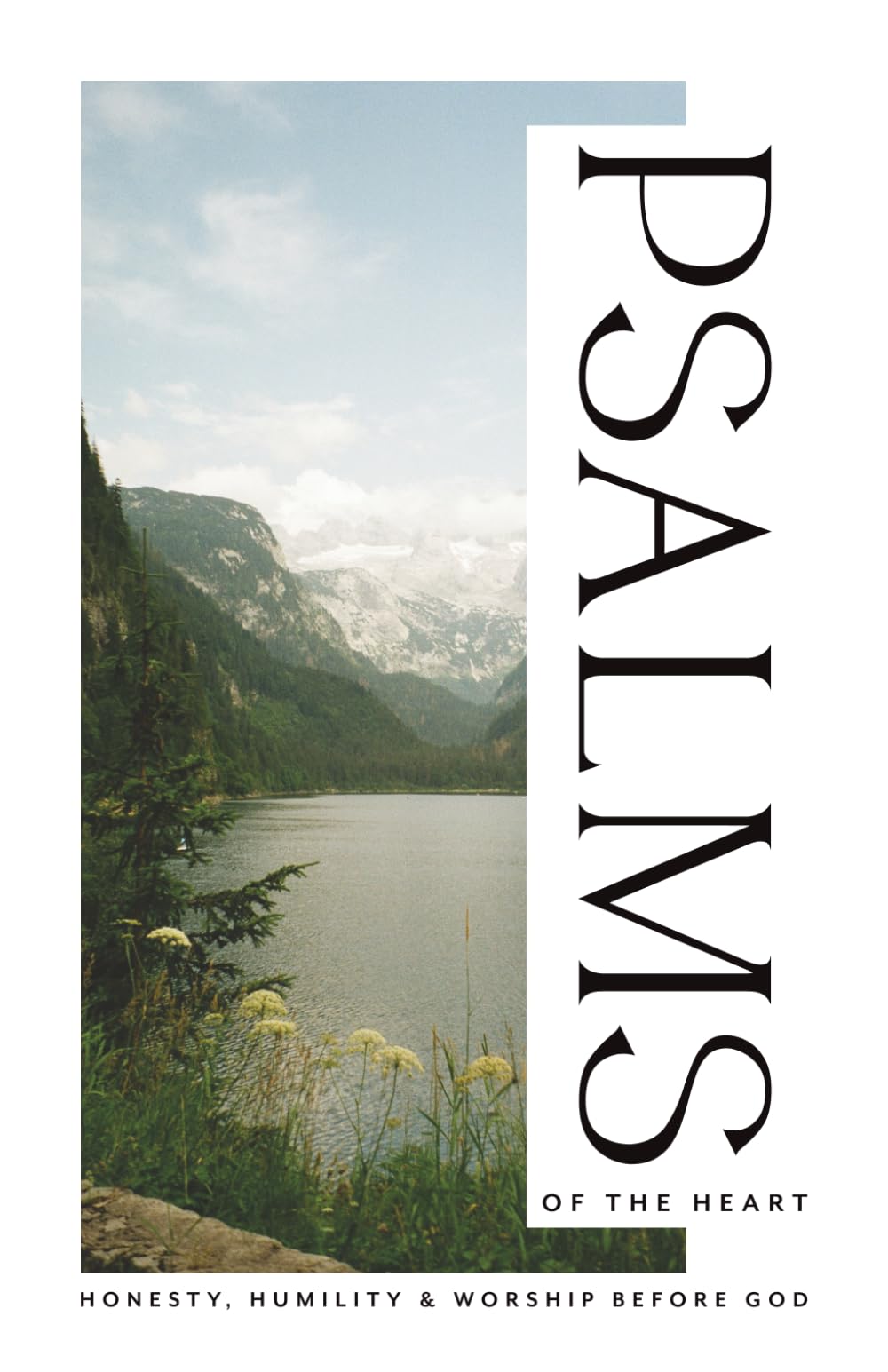 The Psalms: Honesty, Humility, and Worship Before God.