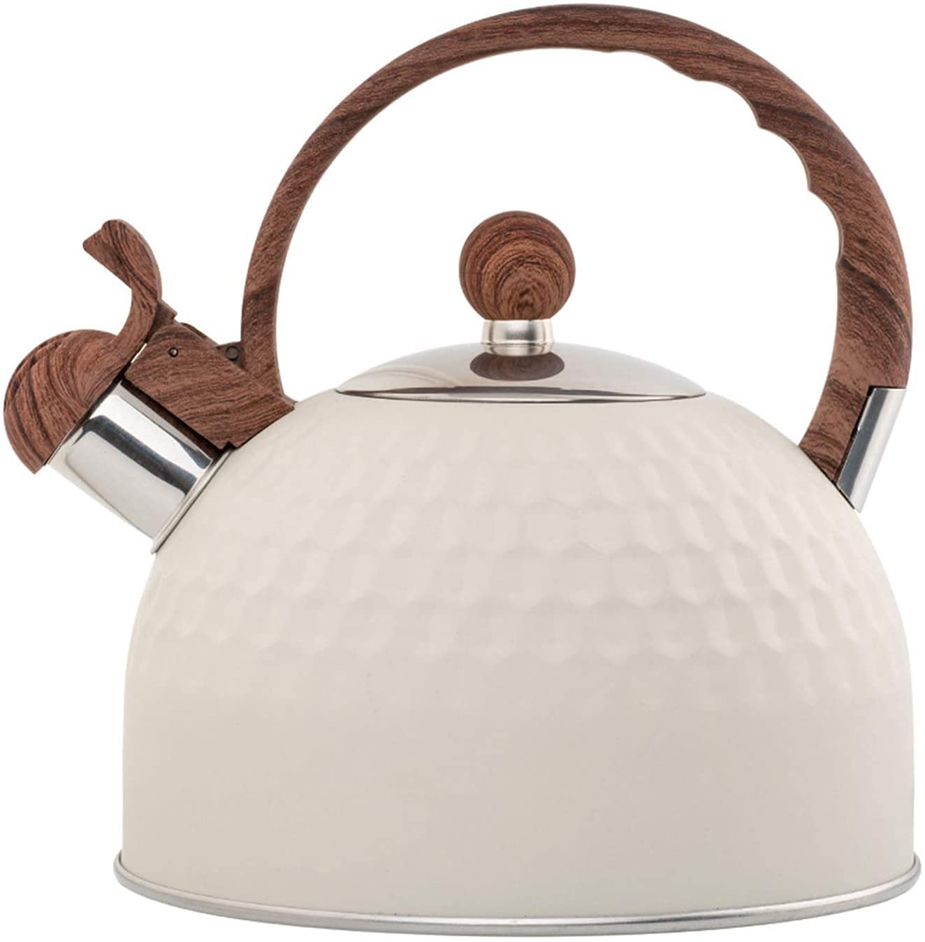 Bouilloire en acier inoxydable 2,5L SHISHI, bouilloire grande capacité pour toutes cuisinières