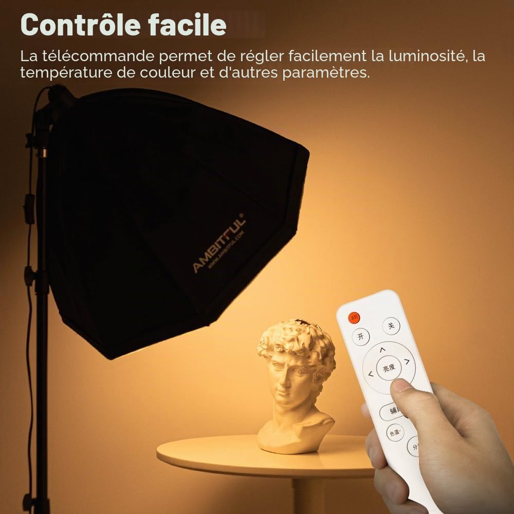 Kit d'éclairage de Photographie Softbox - 2 x 65 cm - avec trépied de 2 m et 2 Ampoules LED Bicolores 50 W 3000-6500 K - Éclairage continu à LED pour Enregistrement vidéo/Streaming en Direct