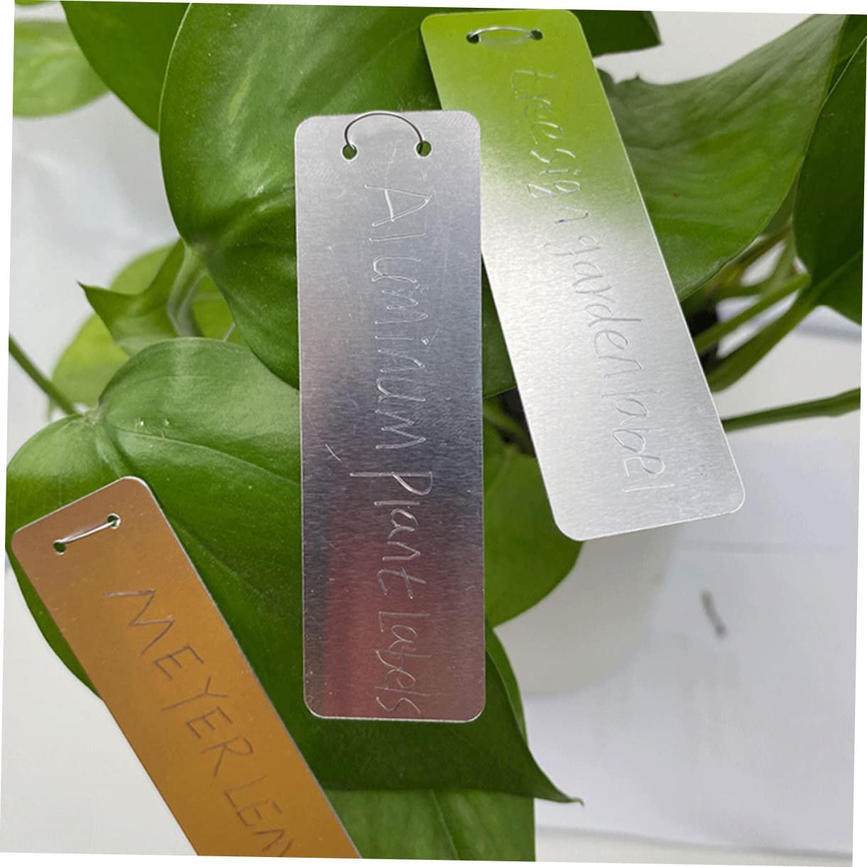 Sosoport 100 Stück Aluminium Pflanzenstecker Wetterfest Pflanzennamensschilder für Garten und Gewächshaus Einfach in Boden zu Stecken Silber