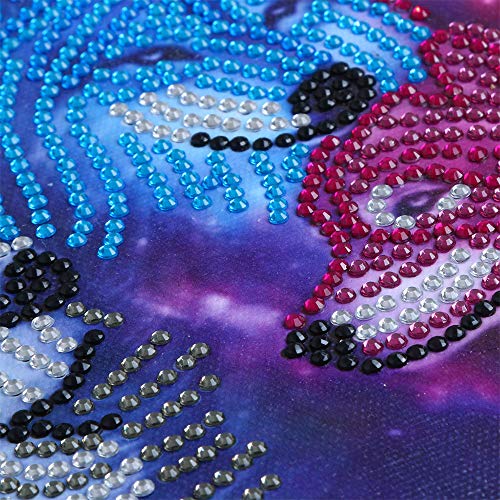 Leeofty DIY 5D Pintura Diamante Kits DIY Broca Pintura Diamante Needlework Pintura De Cristal Strass