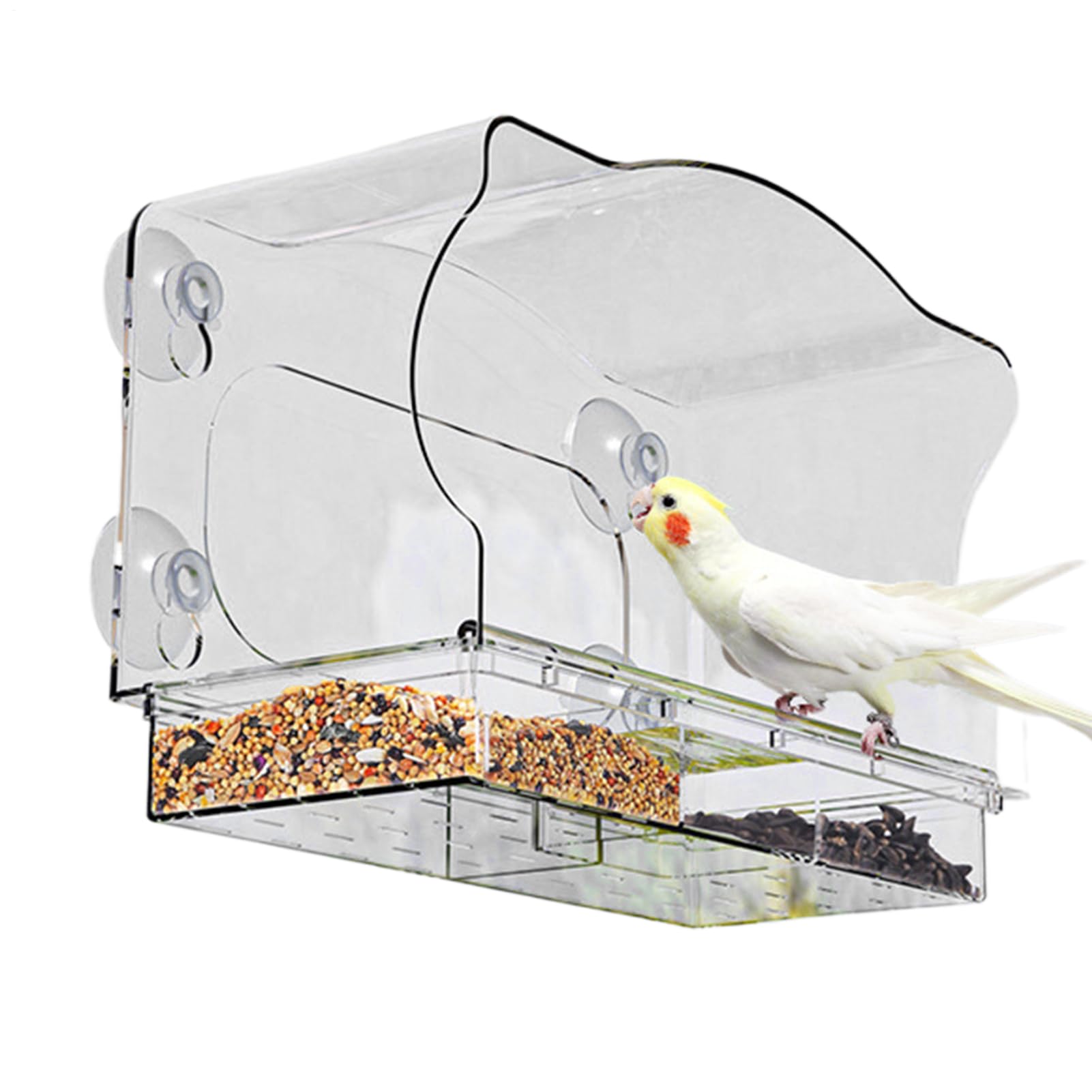 Comedero para pájaros para exteriores en acrílico transparente de ventana