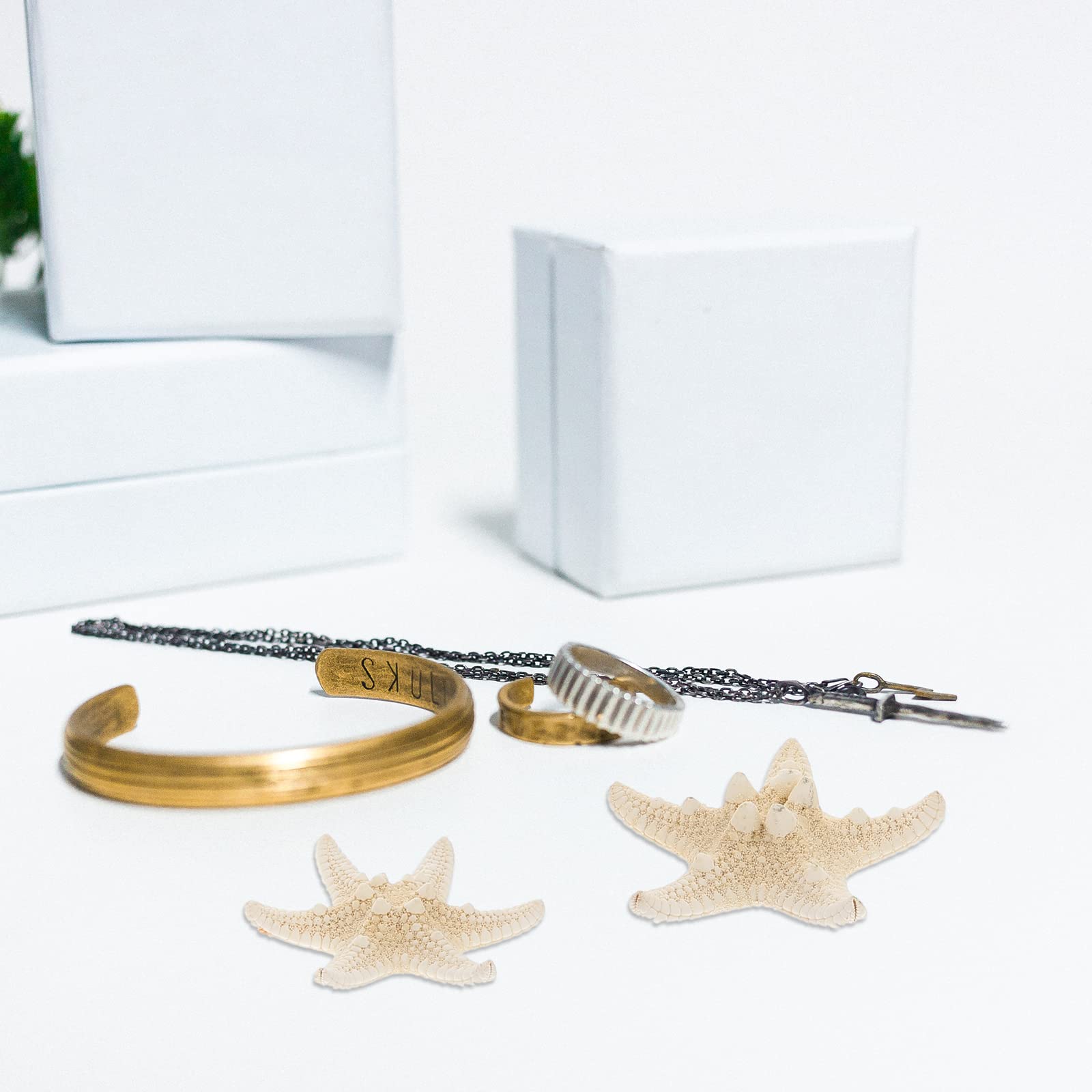 Amosfun Juego de 4 Conchas de Estrellas de mar Naturales para decoración náutica (5-8 cm)