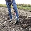 Gemplers Sawtooth Roundpoint Shovel