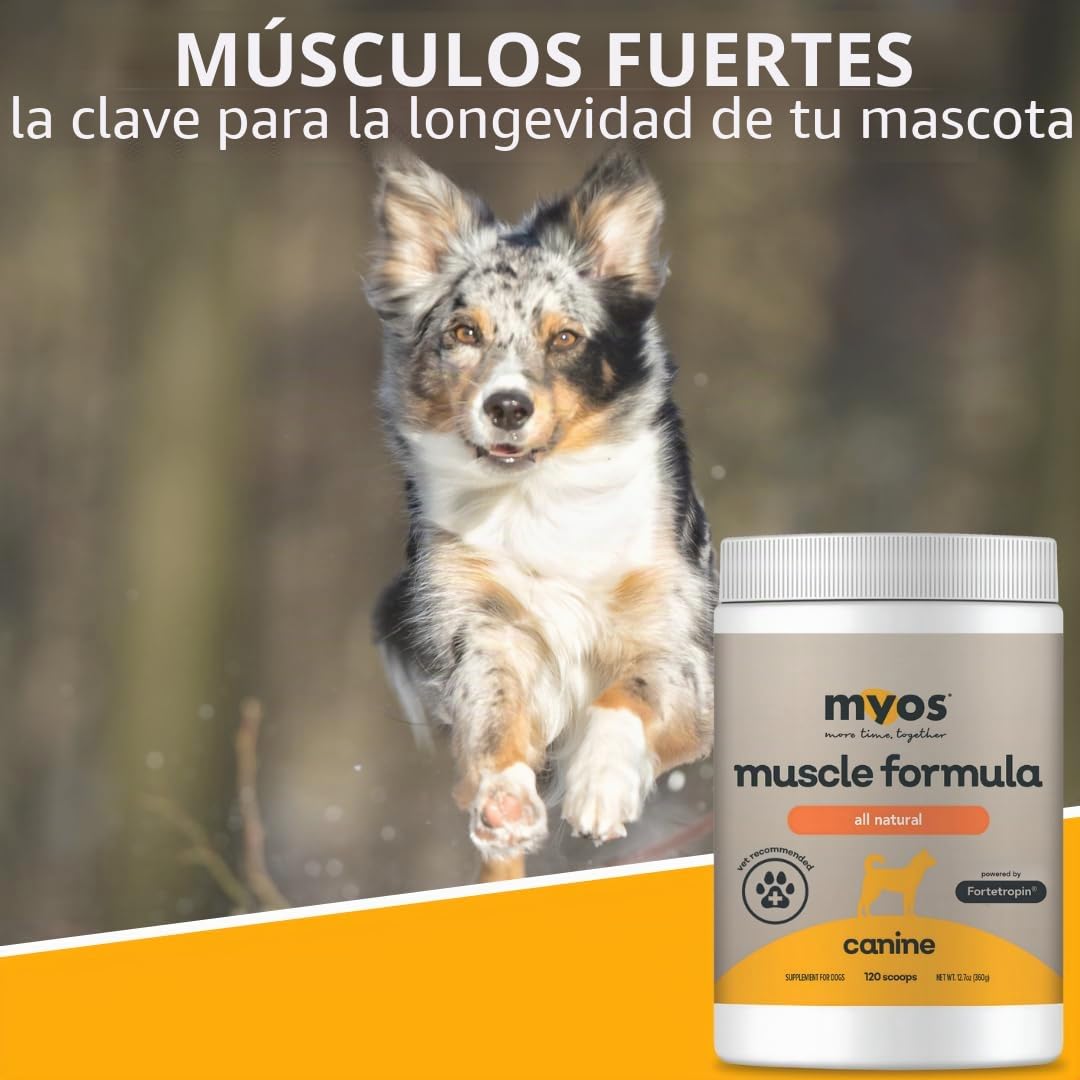 MYOS CANINE MUSCLE FORMULA - Suplemento de construcción muscular totalmente natural: ayuda a reducir la pérdida muscular en perros debido al envejecimiento normal y mejora la recuperación de lesiones