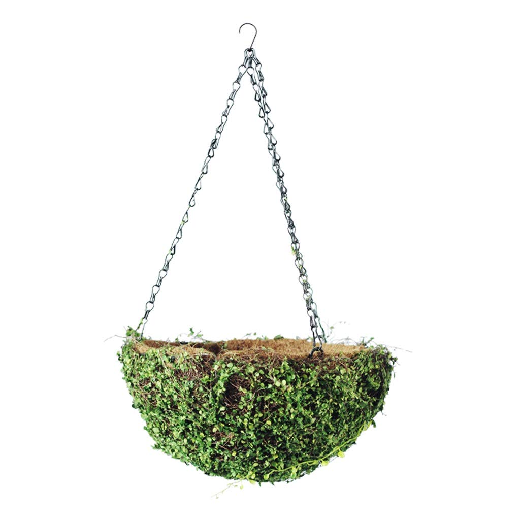 Panier en rotin avec suspension robuste pour plantes suspendues