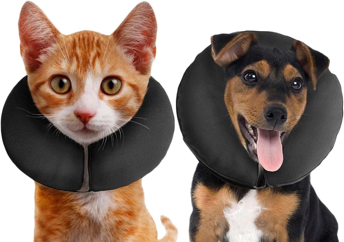 Inflatable ZenPet Recovery Collar for Dogs & Cats – Comfort & Safety Inflatable ZenPet Recovery Collar for Dogs & Cats – Comfort & Safety