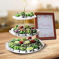 Vista 4 de AIXIANG 12 velas de cactus para suculentas, recuerdos de fiesta de boda para invitados, velas de despedida de soltera