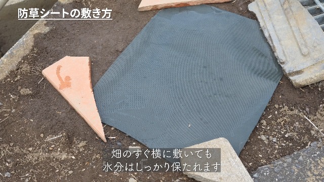 新品 GALESS(ギャレス) 防草シート 1m×50m グリーン PET素材 Amazon.co.jp: GALESS(ギャレス) 防草シート 1m×50m 耐用年数16