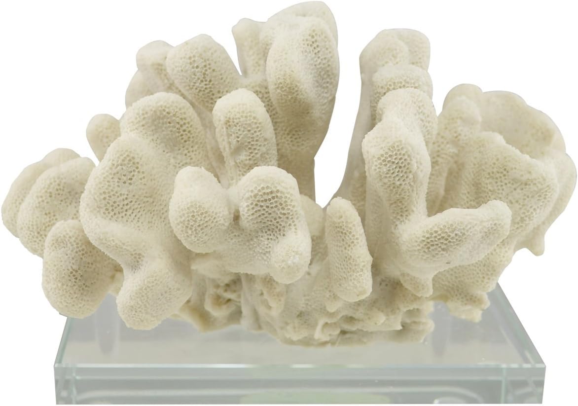 Artificial Sea Coral Decor - Cauliflower, Centerpiece Table Top Decoration Made of Resin, Faux White Coral Replica, 13x10