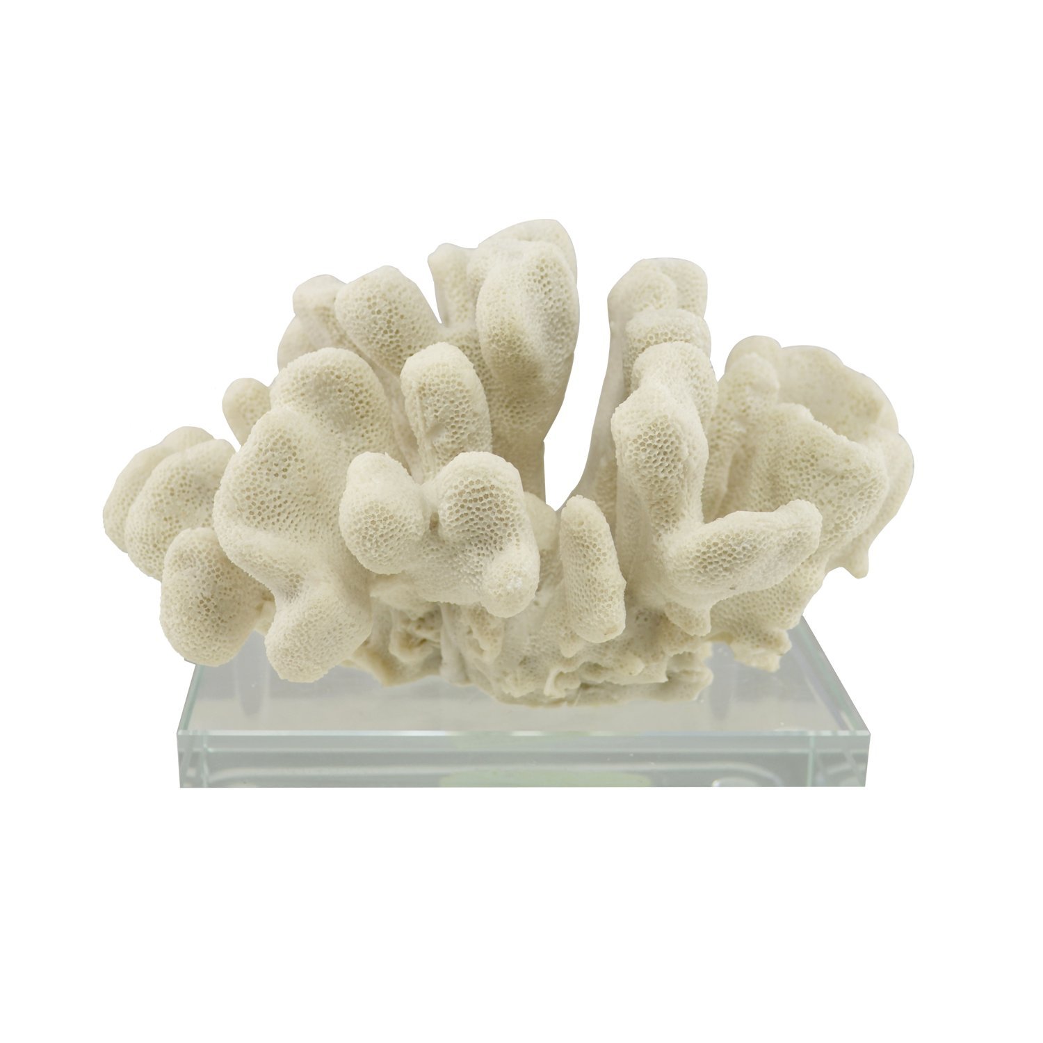 Artificial Sea Coral Decor - Cauliflower, Centerpiece Table Top Decoration Made of Resin, Faux White Coral Replica, 13x10