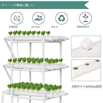 マジック・マッシェルーム完全栽培マニュアル マジック・マッシュル-ム完全栽培マニュアル: 究極の合法