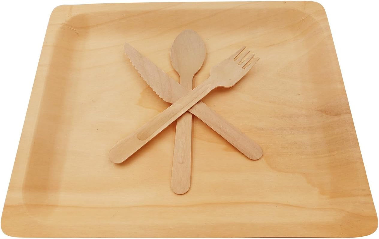 Wooden Disposable Cutlery Kit of 50 Plates(10.5 inch),50 Forks, 50 Spoons, 50 Knives, 6 inch Utensils,Biodegradable, Compostable Dinnerware,Wedding,Dinner,Catering & Party Supplies(Pack of 200)