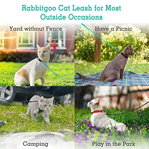 rabbitgoo 2 Pack Cat Leashes - Long Nylon Pet Leash, Escape Proof Durable Walking Leads, Easy Control Outside Cat Leash… - Image 7