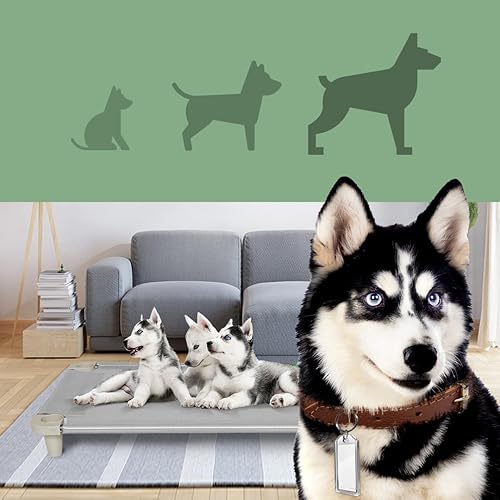 Miniatura 2 de Acrimet Cama elevada para perros y mascotas, cuna de malla lavable y transpirable, marco de acero inoxidable, uso en interiores y exteriores, se