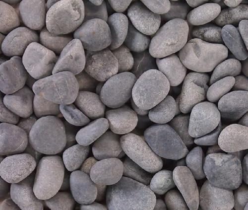 Vߒq ߒq VRʍ O[ 20kg 8(20?25)mm