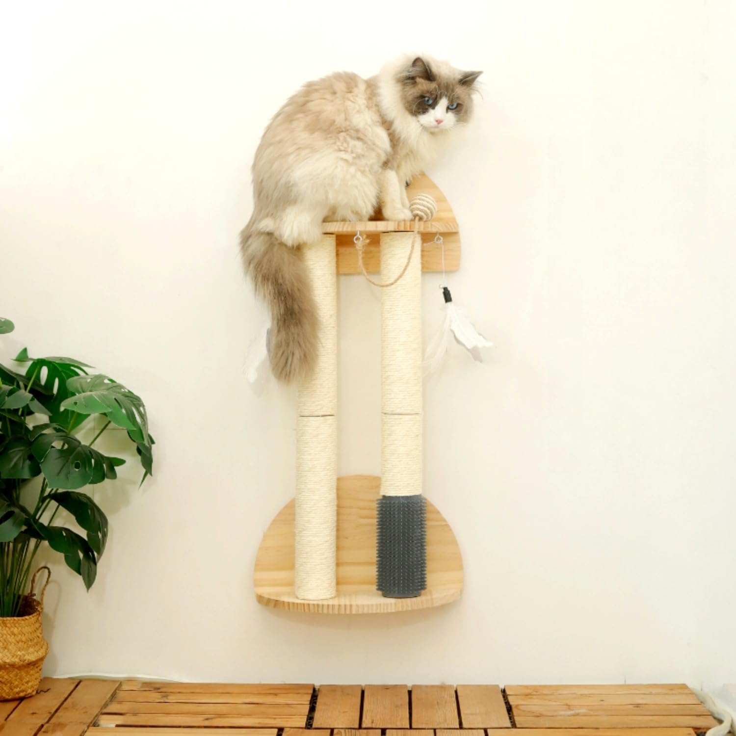 SHENGOCASE Tiragraffi da parete in legno naturale con ventose, giocattolo a forma di palla di piume e toelettatura, mobili da parete per gatti