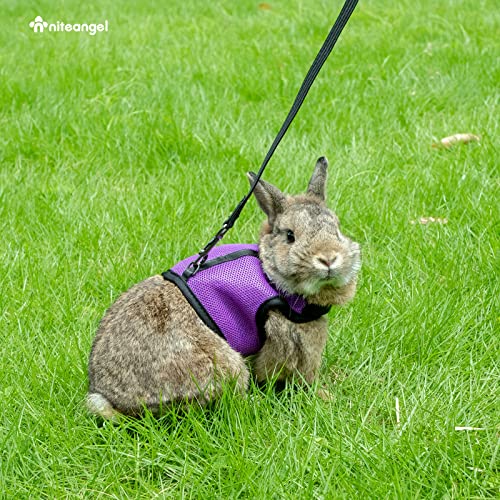 Image of Niteangel Adjustable Soft Harness with Elastic Leash for Rabbits (XL, Purple)