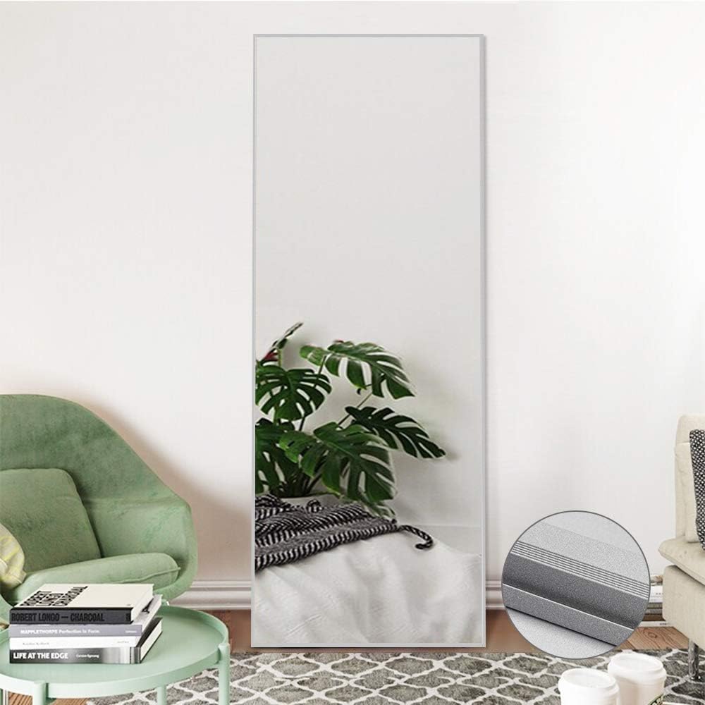 NeuType Full Length Mirror Standing Hanging or Leaning Against Wall, Large Bedroom Mirror Floor Mirror Dressing Mirror Wall-Mounted Mirror, Aluminum Alloy Thin Frame, Sand Gray Color, 65"x22" : Home & Kitchen
