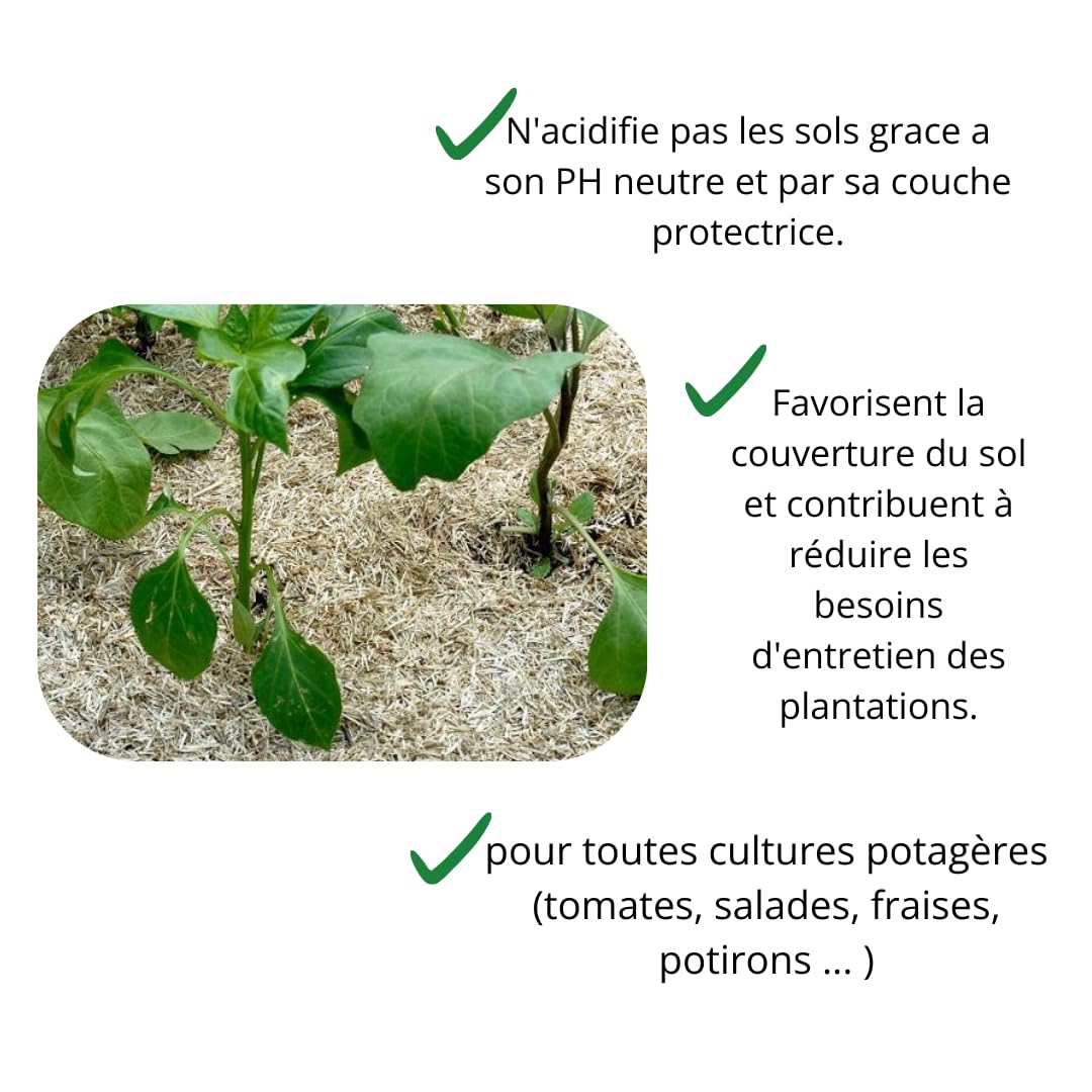 TONUSOL Paillis de Chanvre 100% Naturel 10L - Paillage Végétal