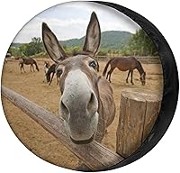 Vista 30 de Foruidea - Hermosa cubierta de rueda de repuesto con diseño de palmeras de playa y orificio para cámara de respaldo. Cubierta de rueda