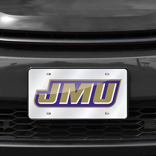 Miniatura 450 de Rico Industries Placa de matrícula de metal con incrustaciones láser de Florida Gators de la NCAA plateado,Alternativo,Negro -,Negro/Plata,Azul,azul