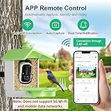 Rkdely Bird Feeder with Camera, Bird House Camera Smart Bird Feeder Feeding Stations for Wild Birds 3MP HD Videos with AI Detection Bird Camera - Image 3