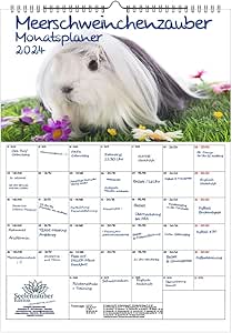 Amazon.com: Meerschweinchenzauber Planer DIN A3 Kalender fr 2024 