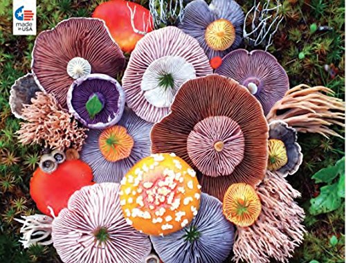 Ceaco Mushrooms Agaric Puzzle - 750 Pieces
